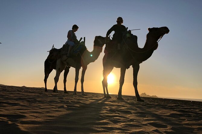 3-hour camel ride at sunset - Photos, guides, and the personal touch