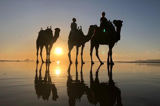 3-hour camel ride at sunset - Who will enjoy it most?