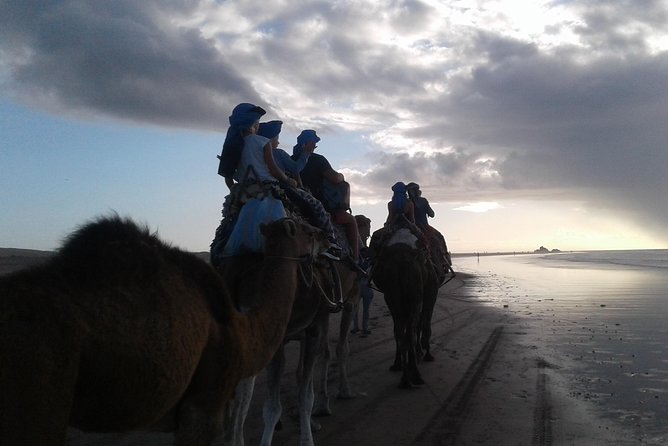 3-hour camel ride at sunset - The camel and horse ride