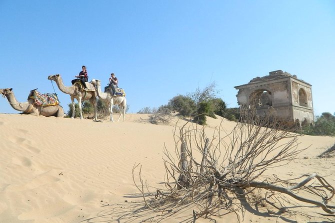 3 hours Camel Ride in Essaouira, beach and dunes - Riding from Essaouira’s ruins toward the sea