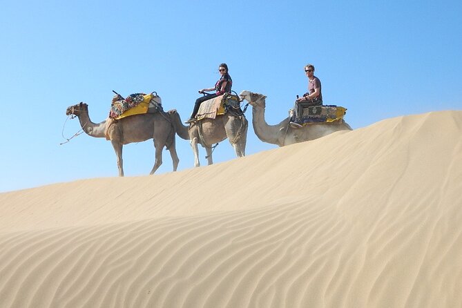 3 hours Camel Ride in Essaouira, beach and dunes - Is $75.60 good value for three hours?