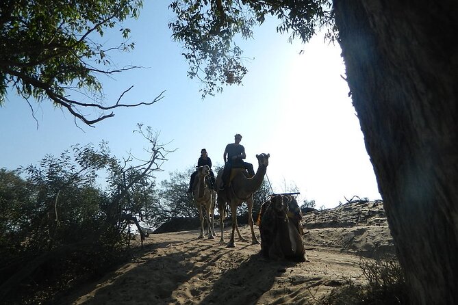 3 hours Camel Ride in Essaouira, beach and dunes - Family suitability and comfort