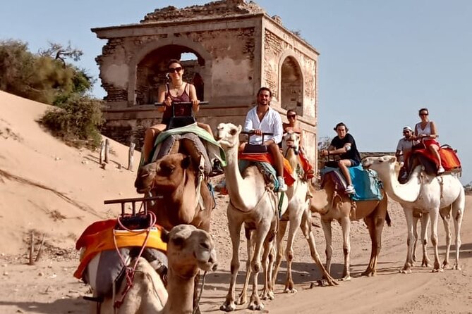 3 hours Camel Ride in Essaouira, beach and dunes - What to bring for the beach and dunes