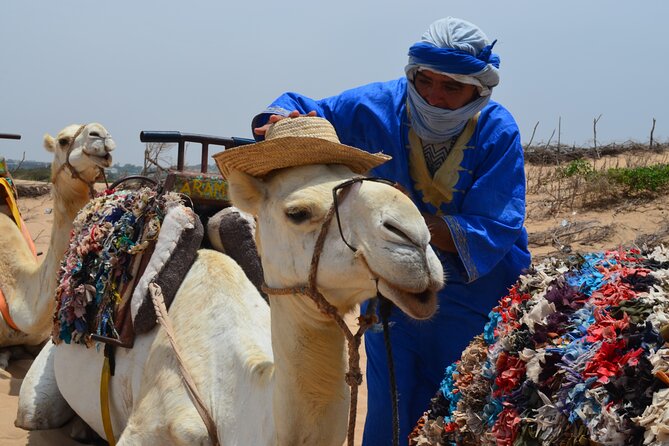 3 hours Camel Ride in Essaouira, beach and dunes - The beach, dunes, and Essaouira’s open horizon
