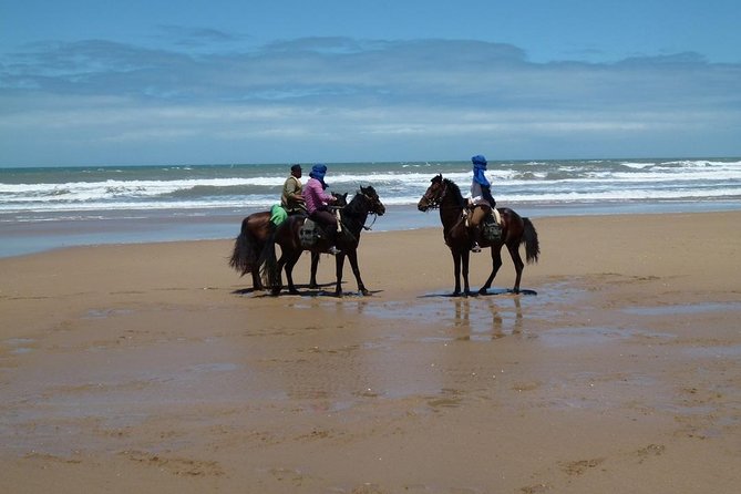 3 hours horse riding in Essaouira, beach, forest and dunes - From Essaouira to Diabat by air-conditioned car