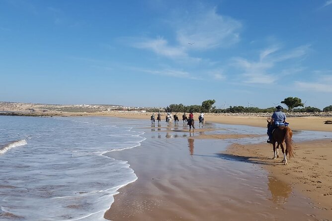 3 hours horse riding in Essaouira, beach, forest and dunes - Returning through eucalyptus and mimosa forest