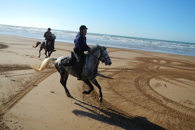 3 hours horse riding in Essaouira, beach, forest and dunes - Choosing between the 10:00 morning ride and the pre-sunset outing