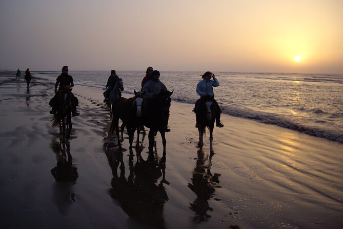 3 hours horse riding in Essaouira, beach, forest and dunes - Is $75.49 a fair price?