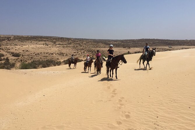 3 hours horse riding in Essaouira, beach, forest and dunes - Following Essaouira’s beach toward the fishing village
