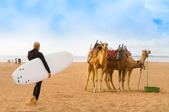 3 hours ride on camel at sunset - Key points to know before booking