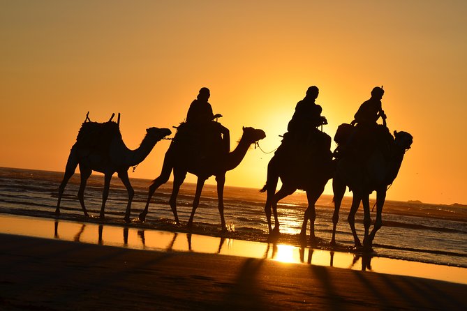 3 hours ride on camel at sunset - A three-hour route beyond the beach