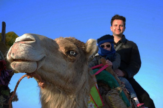 3 hours ride on camel at sunset - Cap Sim dunes and the return toward sunset