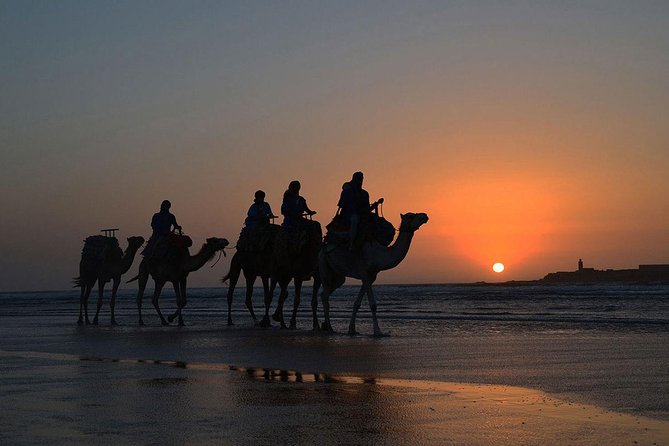 3 hours ride on camel at sunset - Is $52.14 good value?