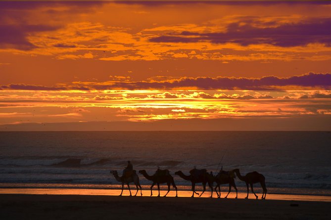 3 hours ride on camel at sunset - What to wear and bring for the coast