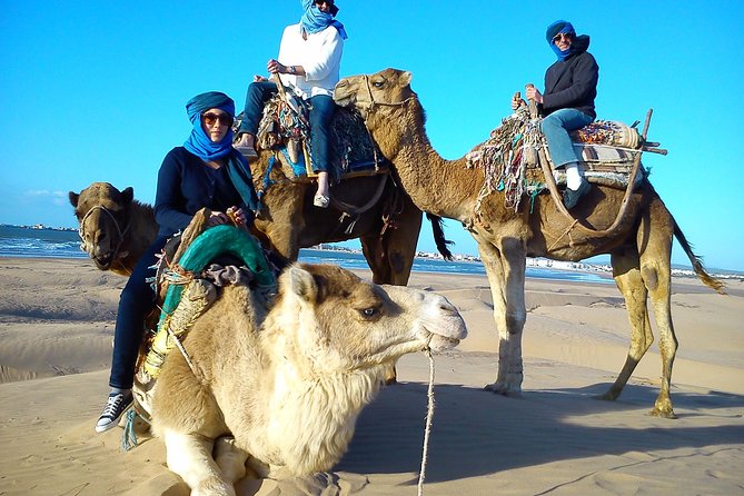 3 hours ride on camel at sunset - Diabat village and the ruins near the coast