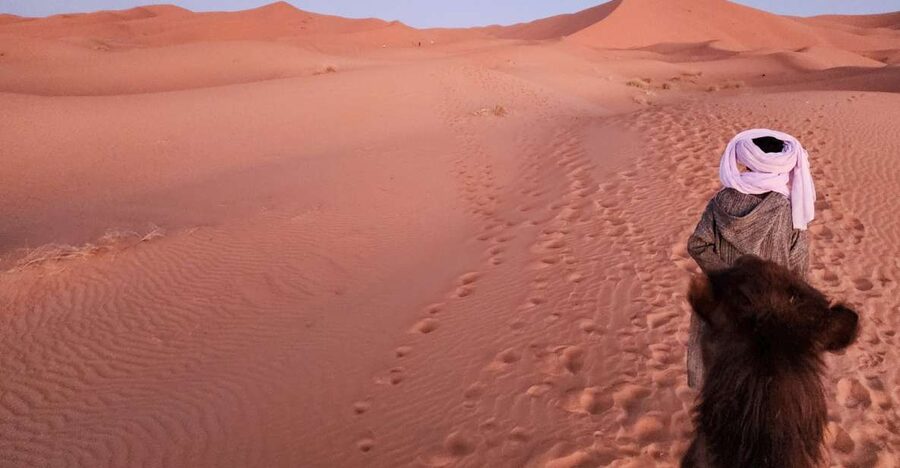 3D Deluxe Experience: Marrakech to Merzouga w/ Quad Option - Shared or private: choosing the right version
