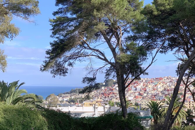 3h Private Walking Tour in Tangier Kasbah Medina & Colorful Souks - Starting high above the city in the Tangier Kasbah