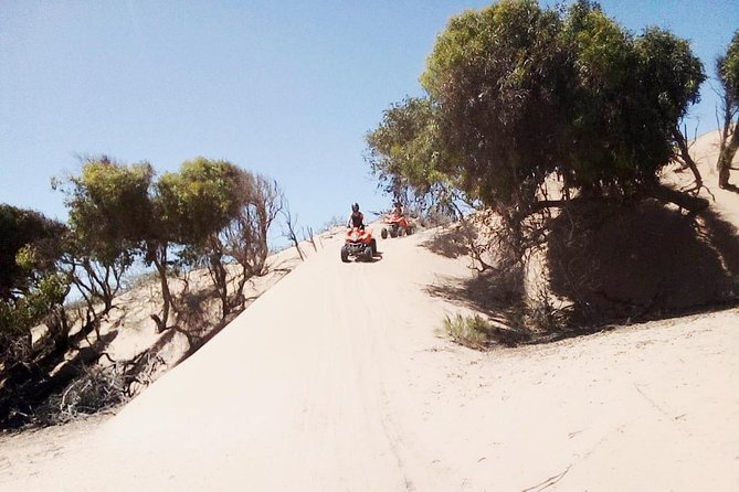 3h quad bike: Thrills in the beach and dunes - Is $69.79 a fair price?