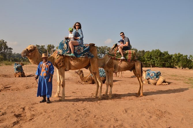 4×4 Jeep Desert Safari Tour with Lunch and Camel Ride - Tiznit’s walls, silver, and pottery