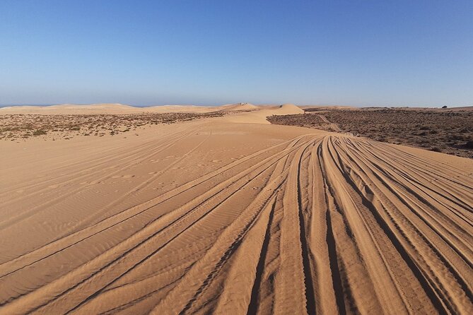4×4 Jeep Desert Safari Tour with Lunch and Camel Ride - Sidi Rbat and the fishermen’s caves