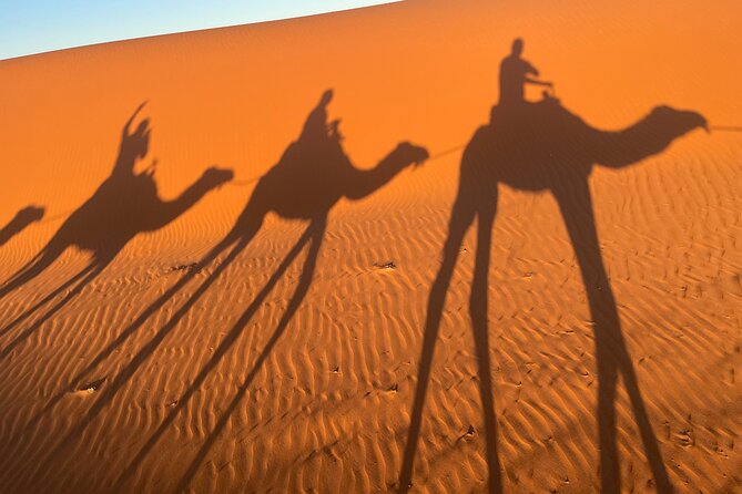 4-Day, 3-Night Marrakech to Marrakech Desert tour - Day 2: Dades, Tinghir, and Todgha Gorge
