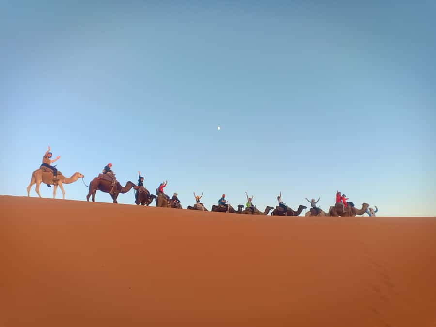 4-Day Marrakech to Merzouga Sahara Adventure & Camel Trek - Who should book this Sahara trip?