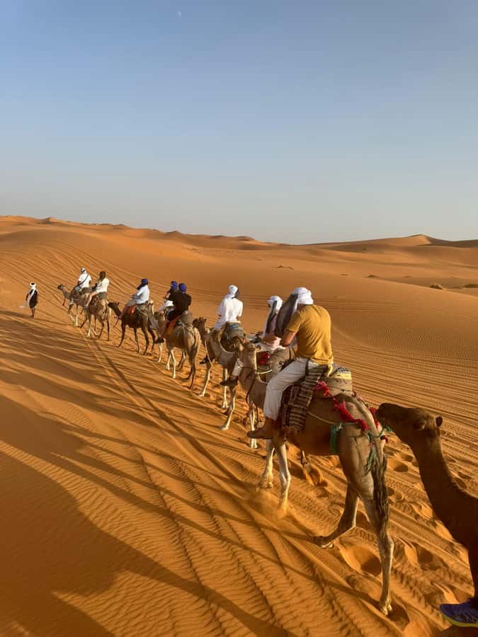4-Day Marrakech to Merzouga Sahara Adventure & Camel Trek - Day 2: Todra Gorge, palm oases, and the camel ride