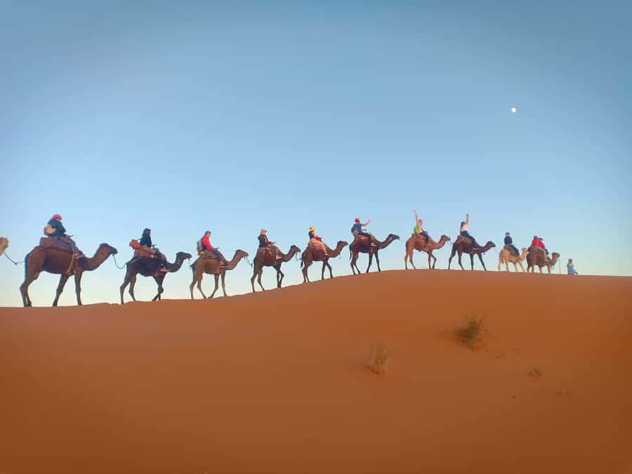 4-Day Marrakech to Merzouga Sahara Adventure & Camel Trek - Sunrise over Erg Chebbi, then back toward Dades