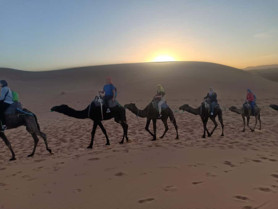 4-Day Marrakech to Merzouga Sahara Adventure & Camel Trek - Day 4: The Atlas road back to Marrakech