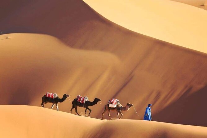 4 Day Sahara Desert Trip From Marrakech: Marrakesh - Sahara Desert - Marrakesh - What the $550 price really covers