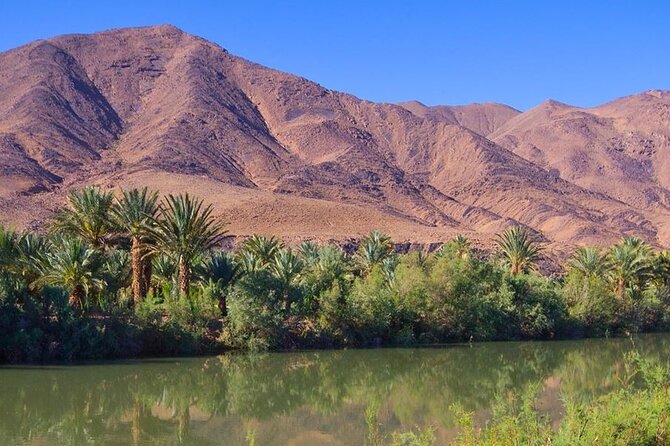 4 Day Sahara Desert Trip From Marrakech: Marrakesh - Sahara Desert - Marrakesh - The guide can make or break the road days