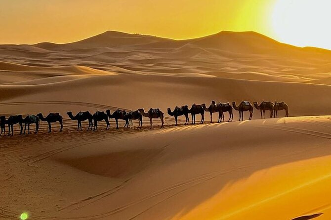 4 Days Desert Tour From Marrakech to Fes via Merzouga Dunes - Day 2: Todra Gorge, oases, and the Merzouga dunes
