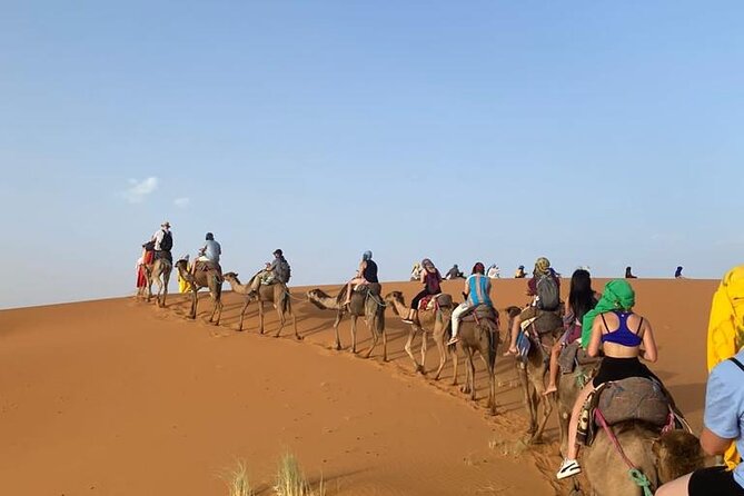 4 Days Desert Tour From Marrakech to Fes via Merzouga Dunes - What the vehicle and group size mean