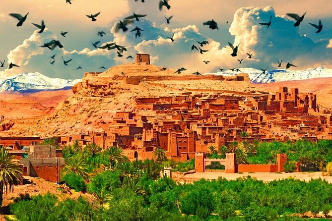 4-Days Marrakech to Marrakech Désert Tour - Transport, guides, and the private-tour advantage
