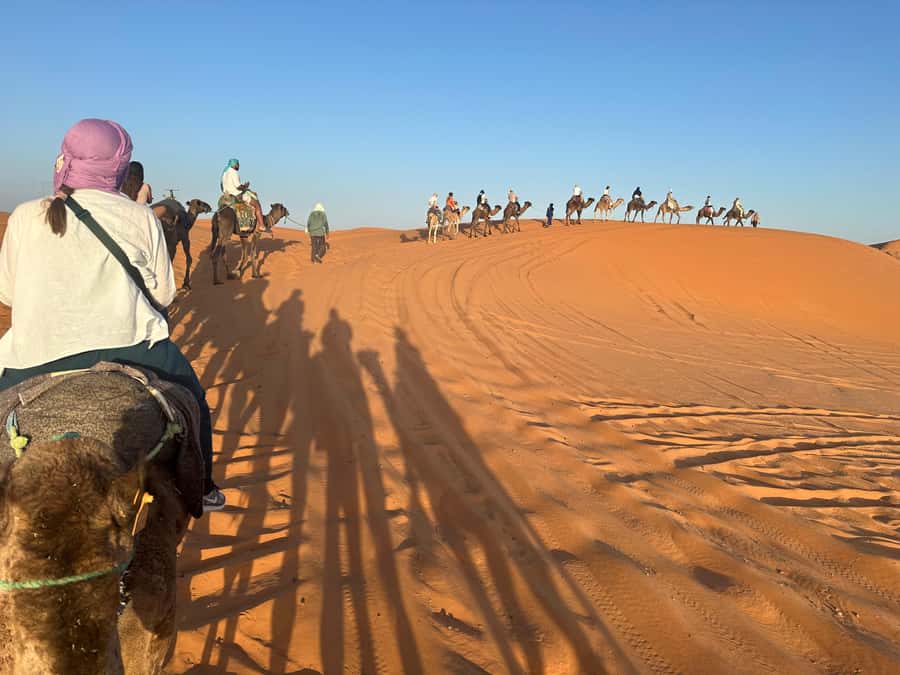 4 days Sahara Desert Tour From Marrakech To Merzouga dunes - Sleeping at Kasbah Safari Rose