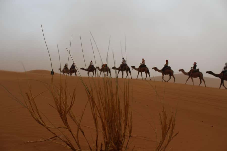 4 days Sahara Desert Tour From Marrakech To Merzouga dunes - Day 1: Crossing Tizi n’Tichka to Ait Ben Haddou