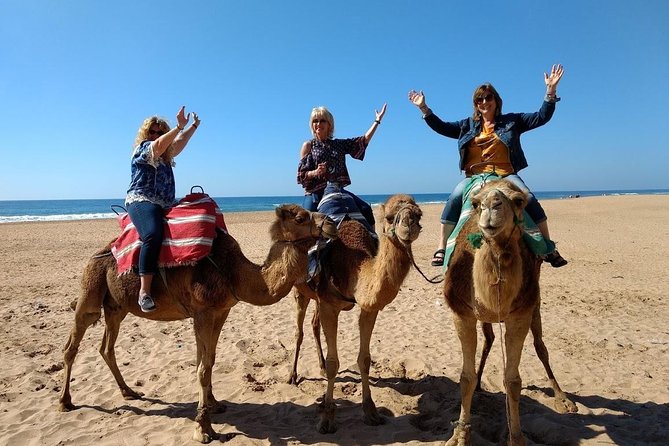 4 Hour Tangier City Private Tour - Mendoubia Garden and the heart of the old city