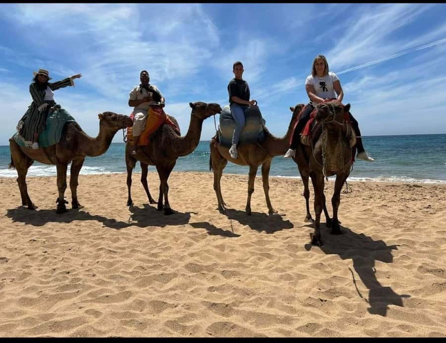 4 Hours Deluxe Guided Tour of Tangier + A tour with camels - The guides shape the day