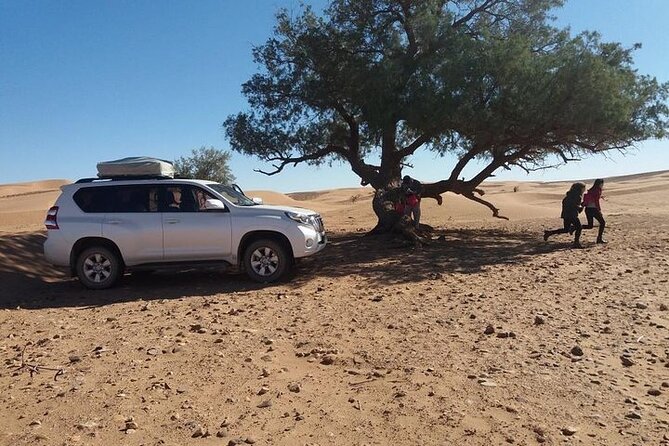 4 WD Agadir Small desert discovery including lunch - The Souss-Massa oasis, palms, and banana plantations