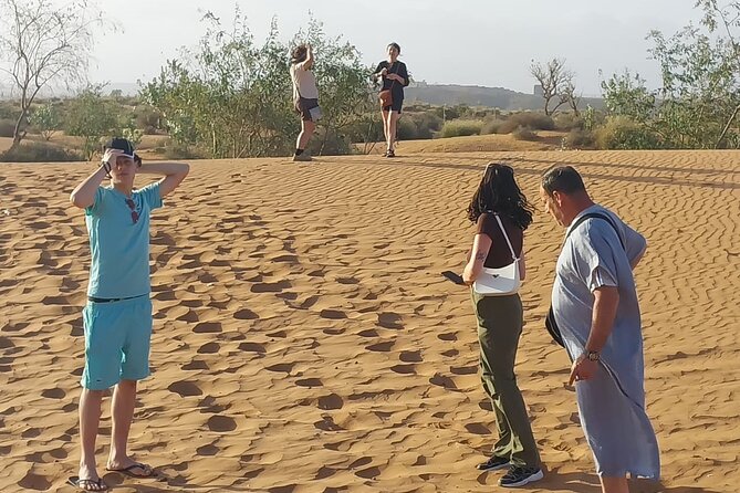 4WD Agadir Day Trip to Massa - Wadi Massa and its birds