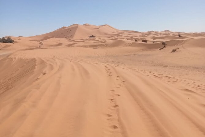 4WD Agadir Day Trip to Massa - Camel riding, dunes, and the afternoon sunset
