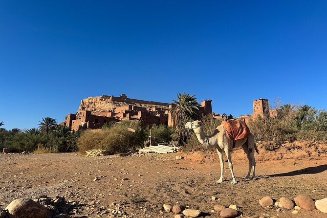 5-Day Private Tour to Sahara and ErgChebbi from Marrakech - Guides, comfort, and the private format