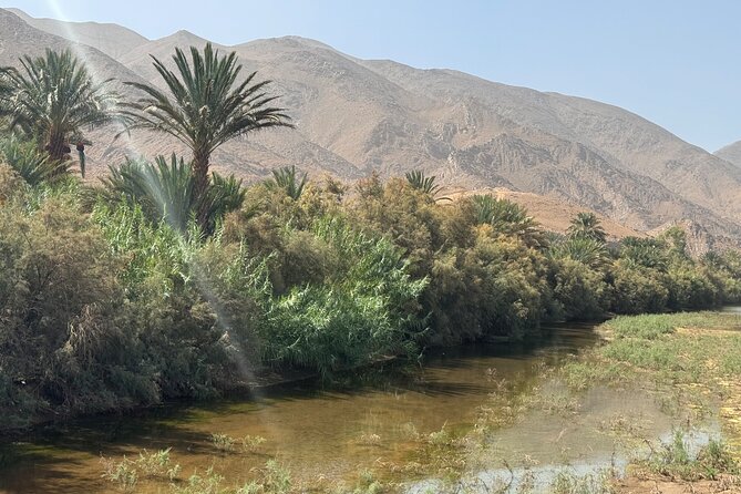 5-Day Private Tour to Sahara and ErgChebbi from Marrakech - Crossing Tizi n’Tichka into southern Morocco