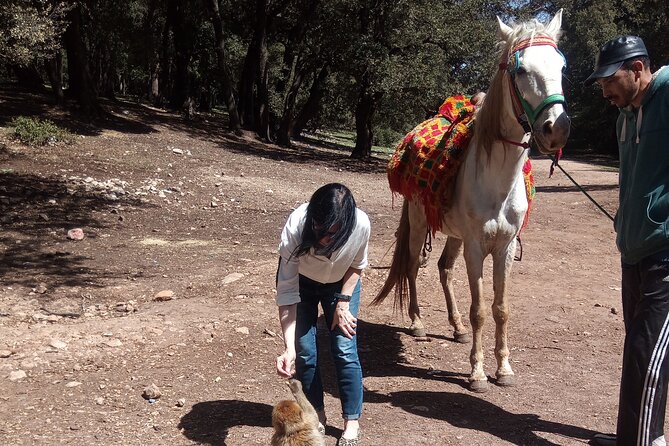 5 Days Private Tour from Casablanca to Fes and Sahara Desert - Kasbahs, studios, and Ait Benhaddou