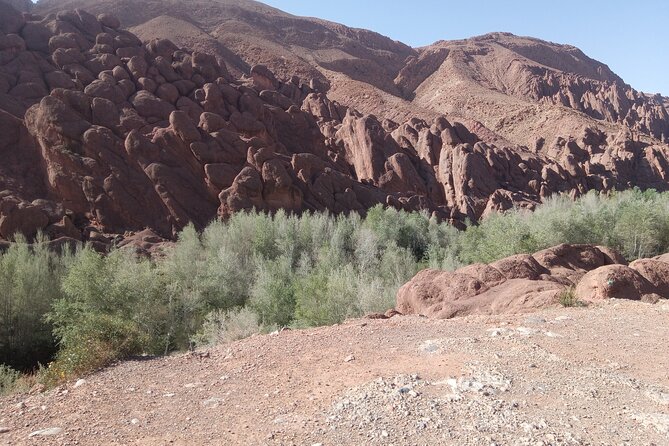 5 Days Private Tour from Casablanca to Fes and Sahara Desert - Who should choose this Morocco route?