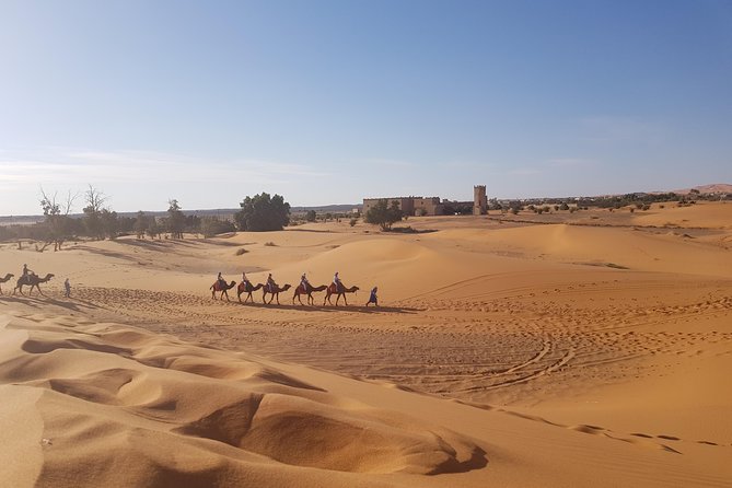 5 Days Tour From Fes - Who should book this five-day trip