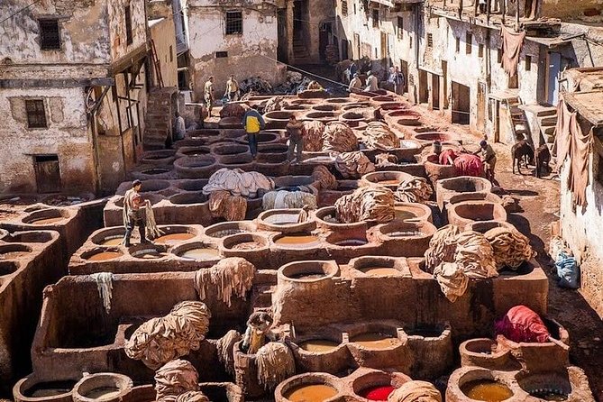 5-Hour Private Walking Tour of the Medina in Fez - Bab Boujloud and the first Medina lanes