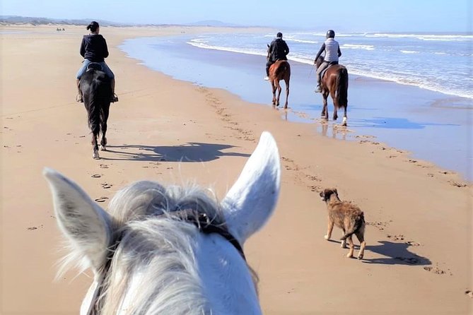 5 hours ride + picnic - A five-hour ride through Diabat’s open country