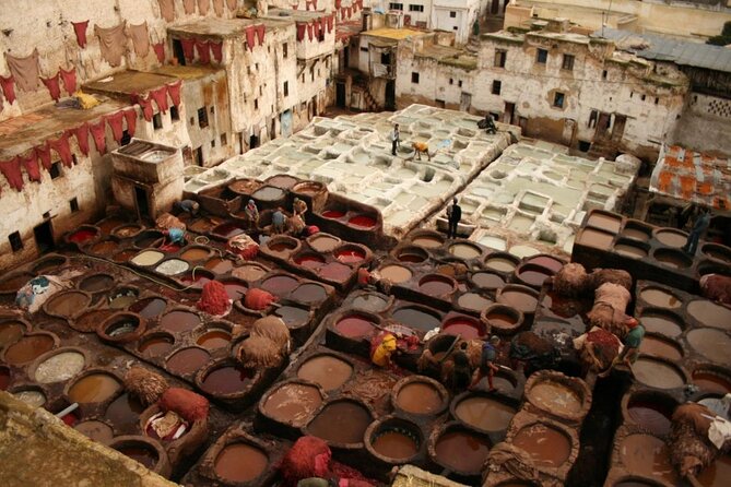 7-days: Casablanca to Chefchaouen then Fes and Sahara Desert - Camel Trekking - Key points to know before booking