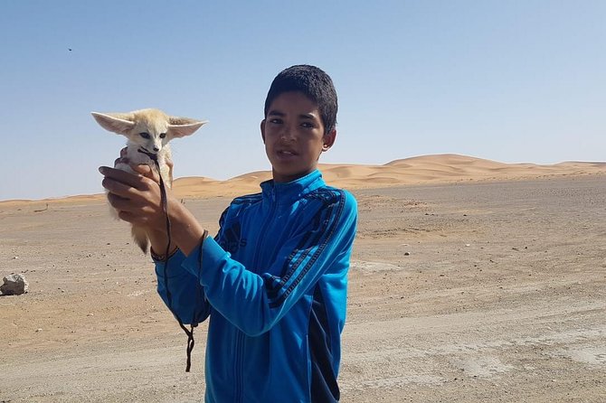 7-days: Casablanca to Chefchaouen then Fes and Sahara Desert - Camel Trekking - Ifrane, Azrou, and the long crossing south